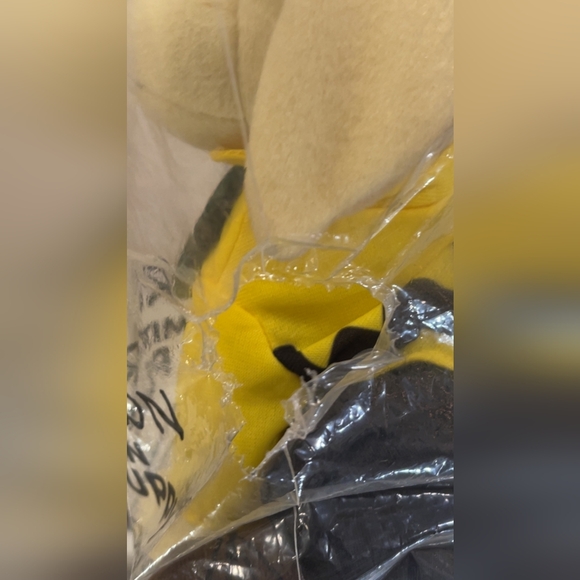 2021 Peanuts Raising Cane Plush - Picture 3 of 3